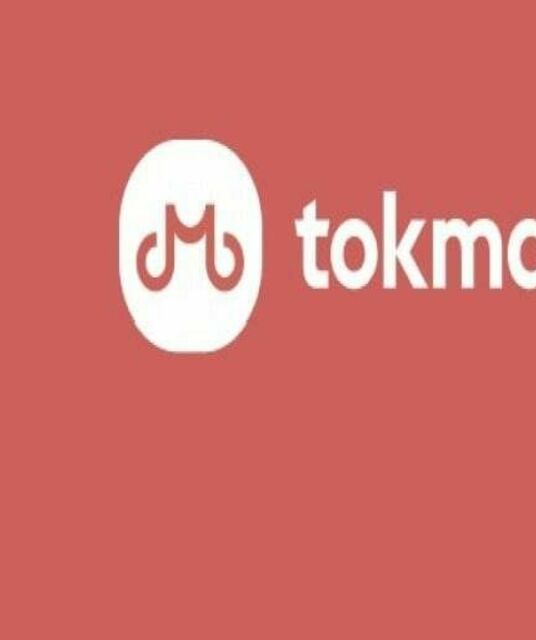 avatar Buy TikTok Followers from Tokmatik