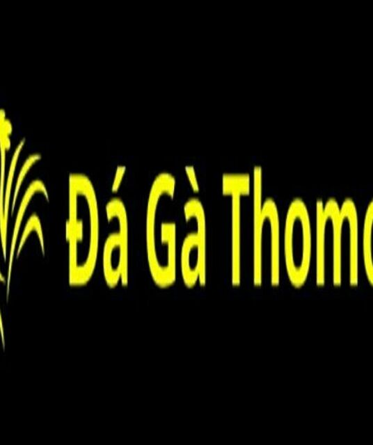 avatar đá gà thomo