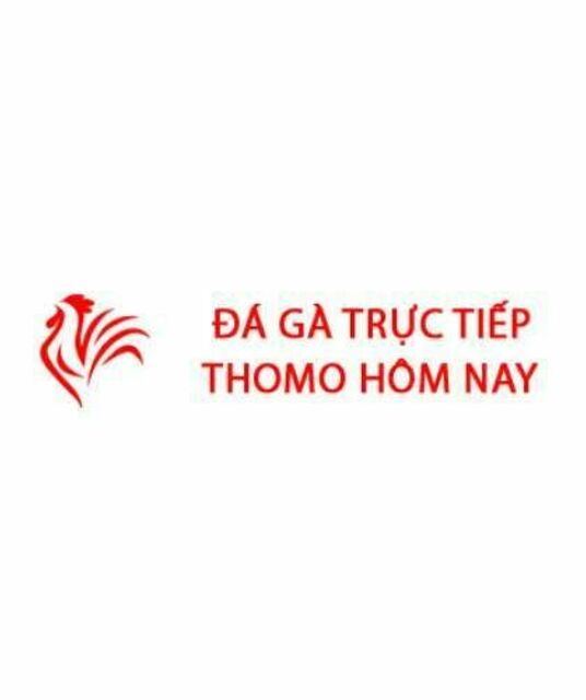 avatar Đá Gà Trực Tiếp Thomo Hôm Nay