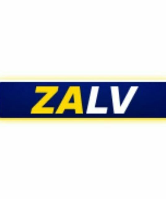 avatar zalv98com