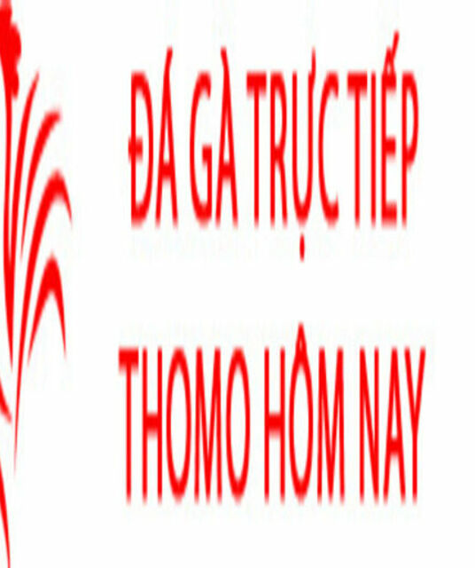 avatar Đá Gà Trực Tiếp Thomo Hôm Nay