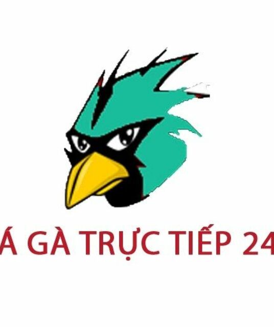 avatar Đá Gà Trực Tiếp 24h