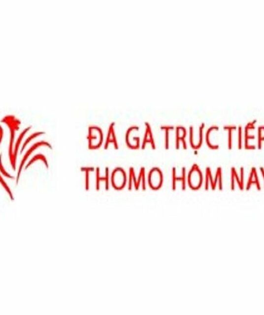 avatar Đá Gà Trực Tiếp Thomo Hôm Nay