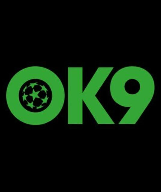 avatar Ok9dev Com