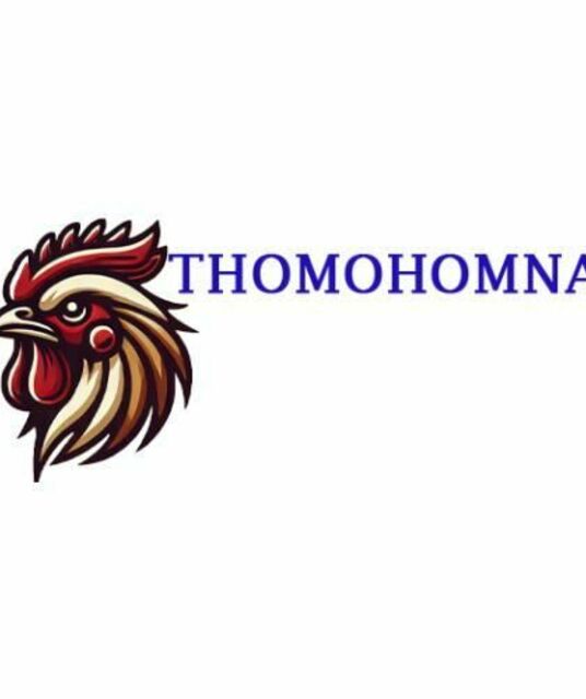 avatar Thomo Hôm Nay