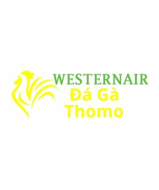 avatar Đá Gà Trực Tiếp Thomo