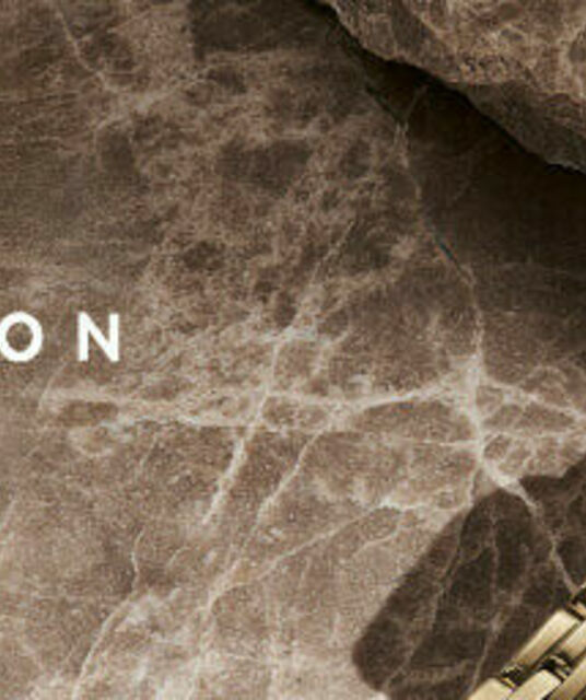 avatar Daniel Wellington