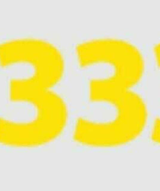 avatar Bet3333 A Plataforma Oficial de Cassino Online no Brasil