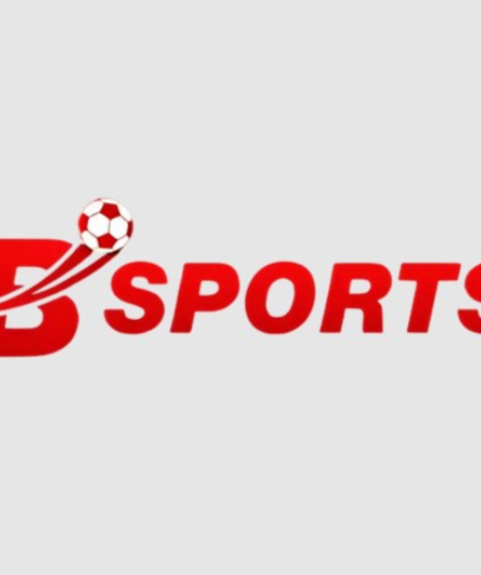 avatar bsport