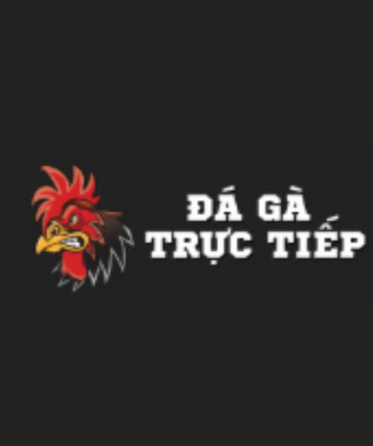 avatar Đá Gà Trực Tiếp