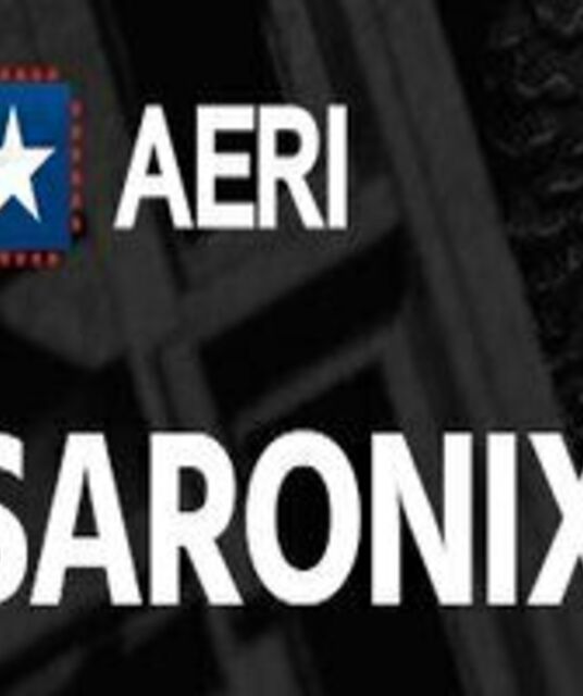 avatar David Saroni PAYS-BAS