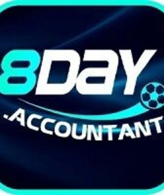 avatar 8day accountant