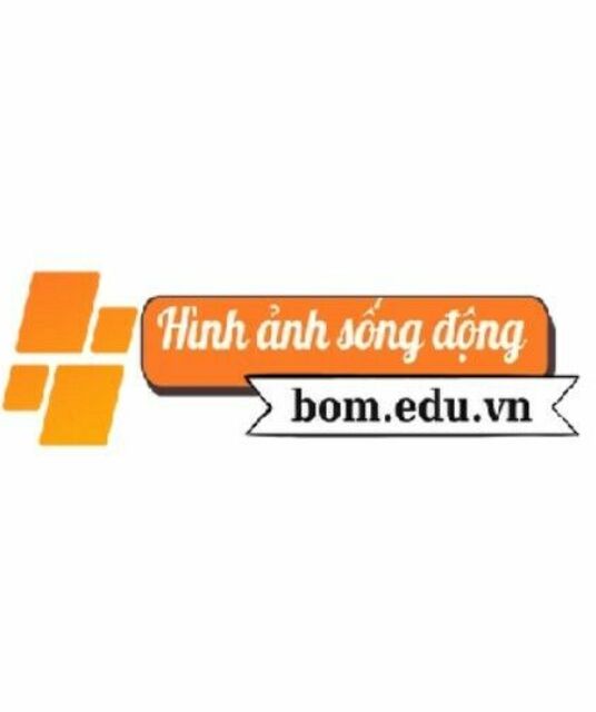 avatar bom eduvn