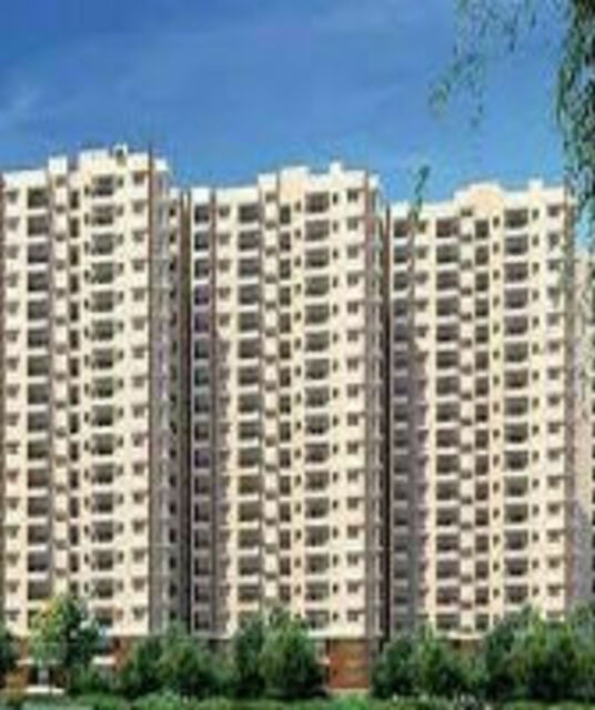 avatar Prestige Evergreen Specifications