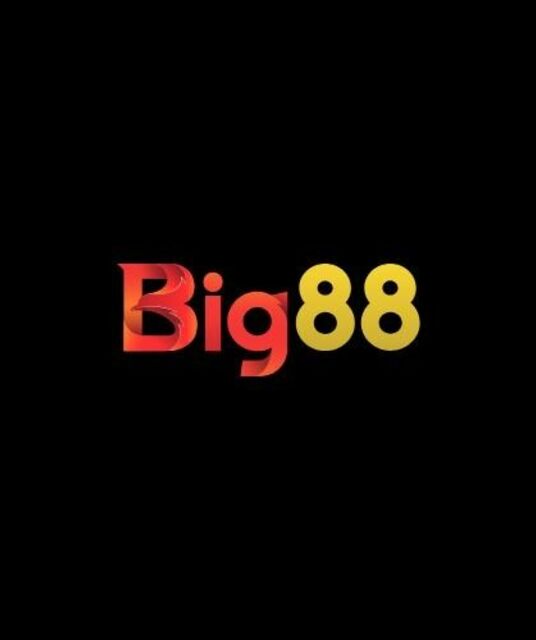 avatar BIG88 nhà cái thể thao