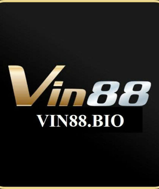 avatar Vin88 Bio