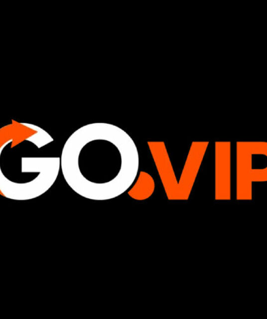 avatar GOVIP