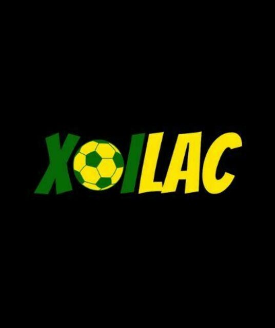 avatar falconsgrup.com lừa đảo
